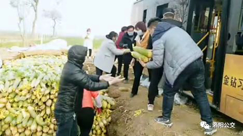 1582680267144211.jpg 2.jpg